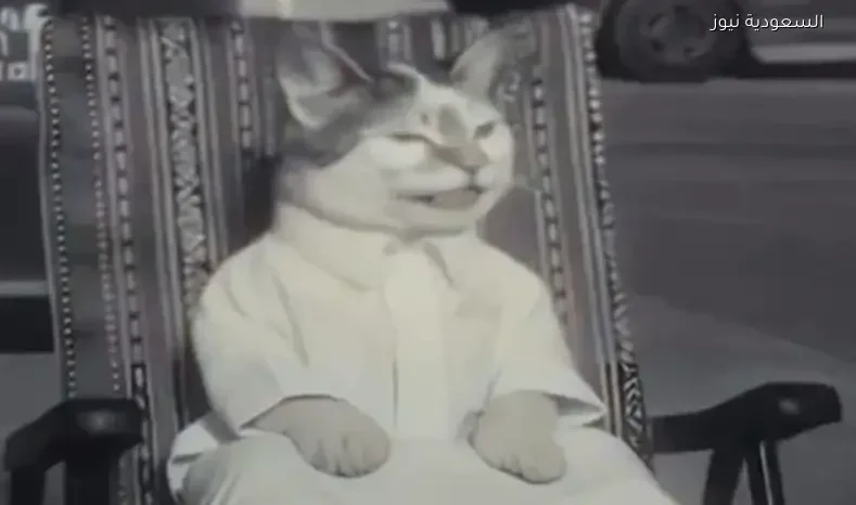 تنظيم الإعلام يتخذ إجراءً عاجلاً ضد بودكاست قطو الشوارع