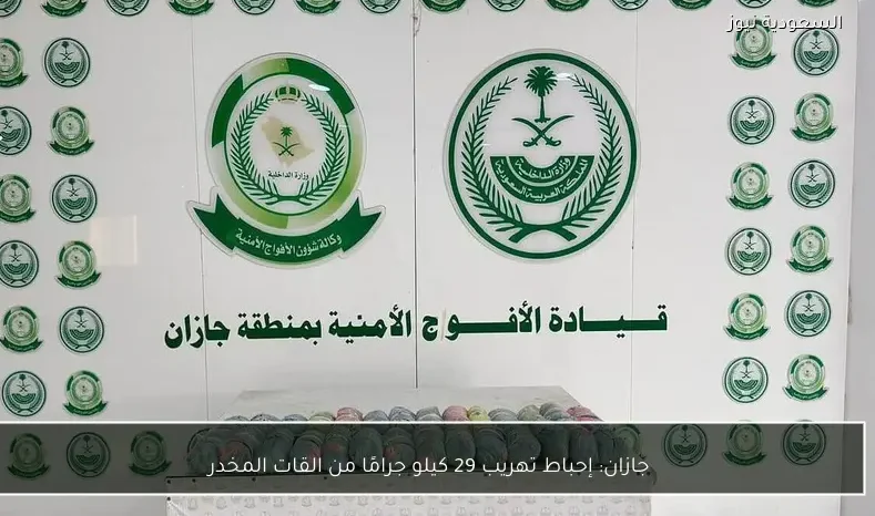 جازان: إحباط تهريب 29 كيلو جرامًا من القات المخدر