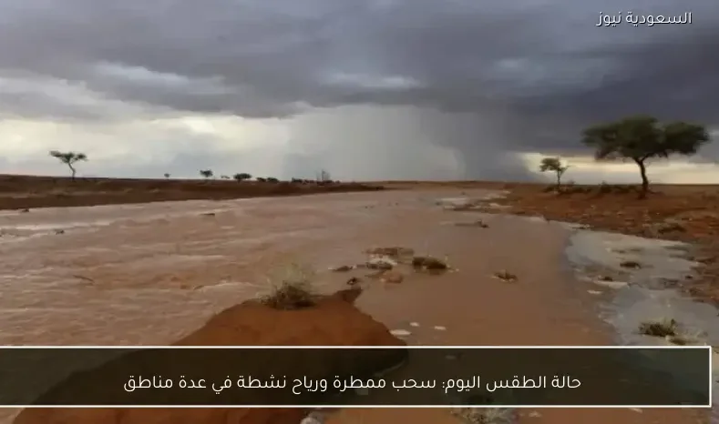 حالة الطقس اليوم: سحب ممطرة ورياح نشطة في عدة مناطق