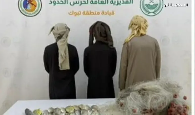 ضبط 3 مخالفين للسلامة البحرية في تبوك