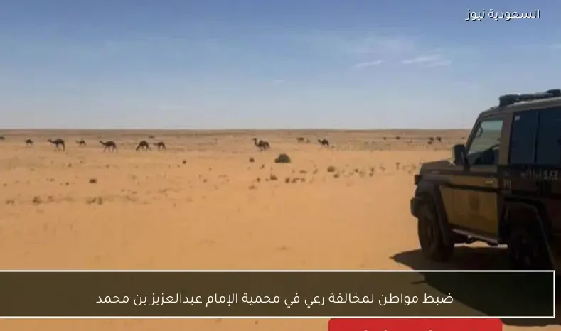 ضبط مواطن لمخالفة رعي في محمية الإمام عبدالعزيز بن محمد