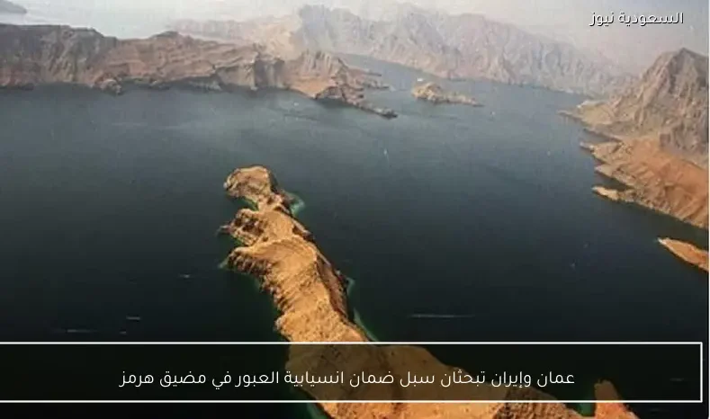 عمان وإيران تبحثان سبل ضمان انسيابية العبور في مضيق هرمز