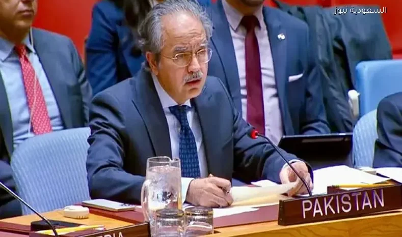 مندوب باكستان بمجلس الأمن: إغلاق مضيق هرمز يؤثر على ربع سكان العالم