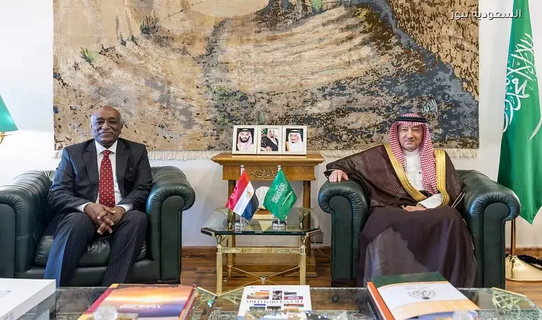 نائب وزير الخارجية السعودي يبحث مع نظيره المصري تعزيز التعاون لمواجهة التحديات