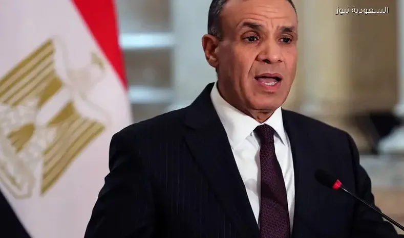 وزير الخارجية المصري وباكستاني يبحثان خفض التصعيد في المنطقة