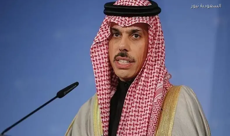 وزير الخارجية يبحث هاتفيًا مع نظيره الباكستاني الأوضاع الإقليمية