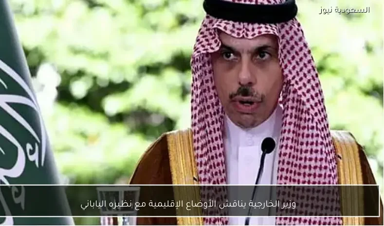 وزير الخارجية يناقش الأوضاع الإقليمية مع نظيره الياباني